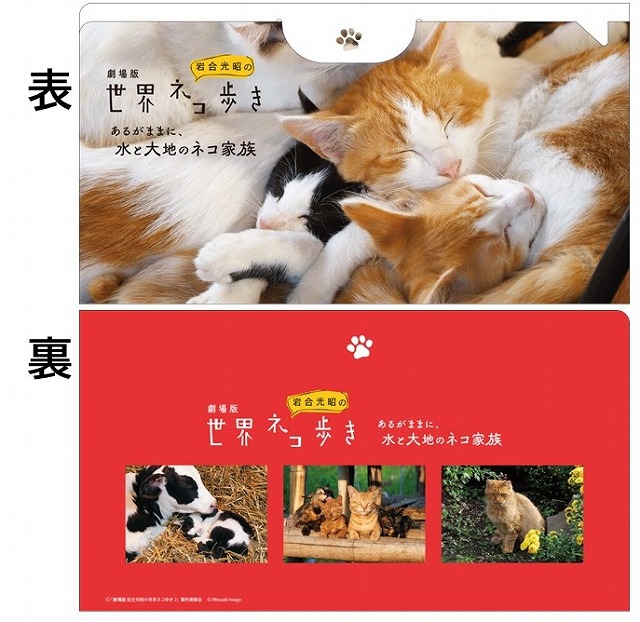 岩合光昭の世界ネコ歩き 沖縄 久高島 最新最全の - DVD